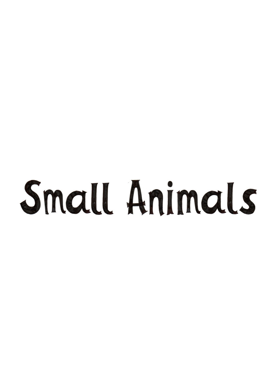 'Small Animals' in black writing on a white background.