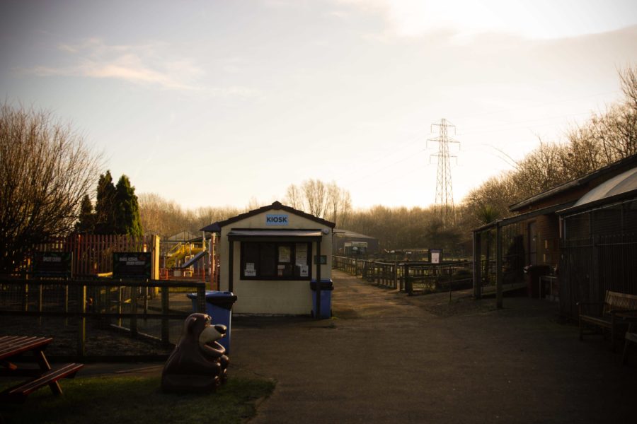 In evening light the entry Kiosk to Acorn Farm and the surrounding animal enclosures.