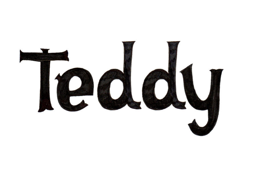 'Teddy' in black writing on a white background.