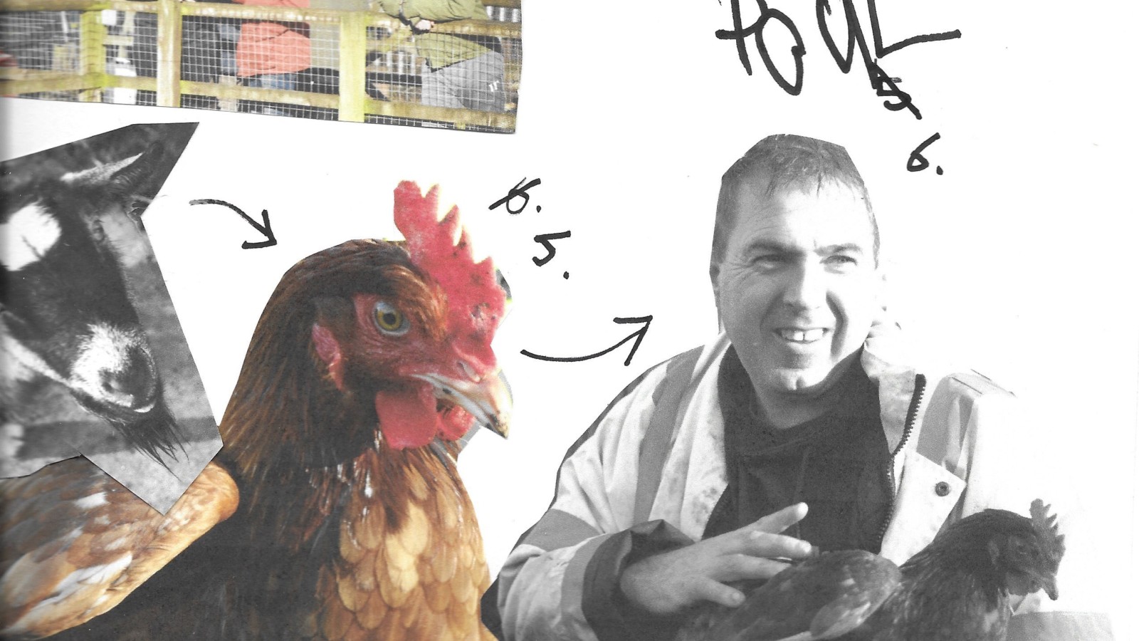 A collage with a chicken, a black and white image of a man holding a chicken and a black and white picture of a goat.