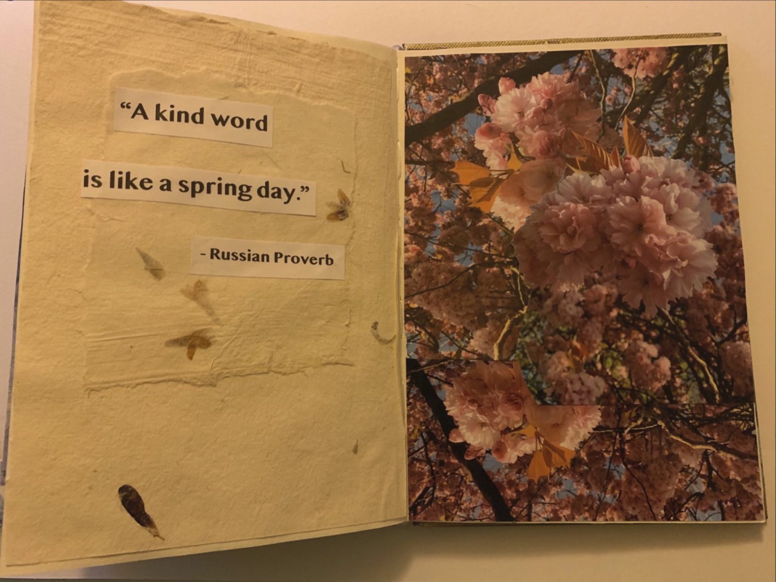 A Small sketchbook with a left hand page that reads 'A kind word is like a spring day' - Russian Proverb, and on the right hand side is a photograph of blossom.