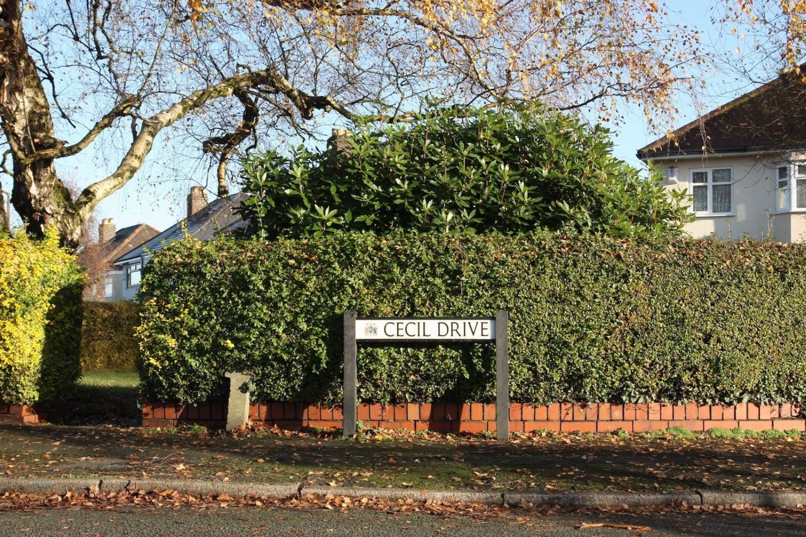 A photograph of a street sign that reads 'Cecil Drive'. Behind it is a short red brick wall with a hedge growing above it. There is a White House in the background and a tree with few leaves left on it. It is a sunny day and there are autumn leaves on the pavement and road in front of the street sign.