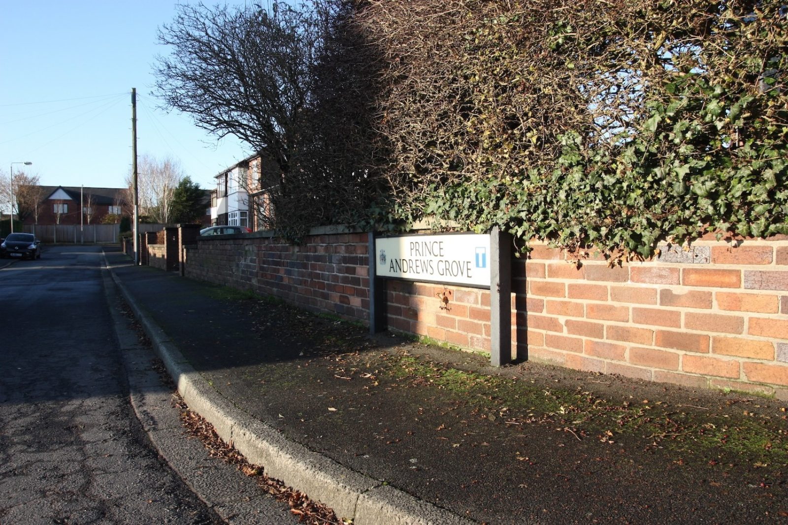 Photograph of street sign reading Prince Andrews Grove, it is in front of a short red brick wall with a hedge growing behind it in a suburban area, it is a sunny day.
