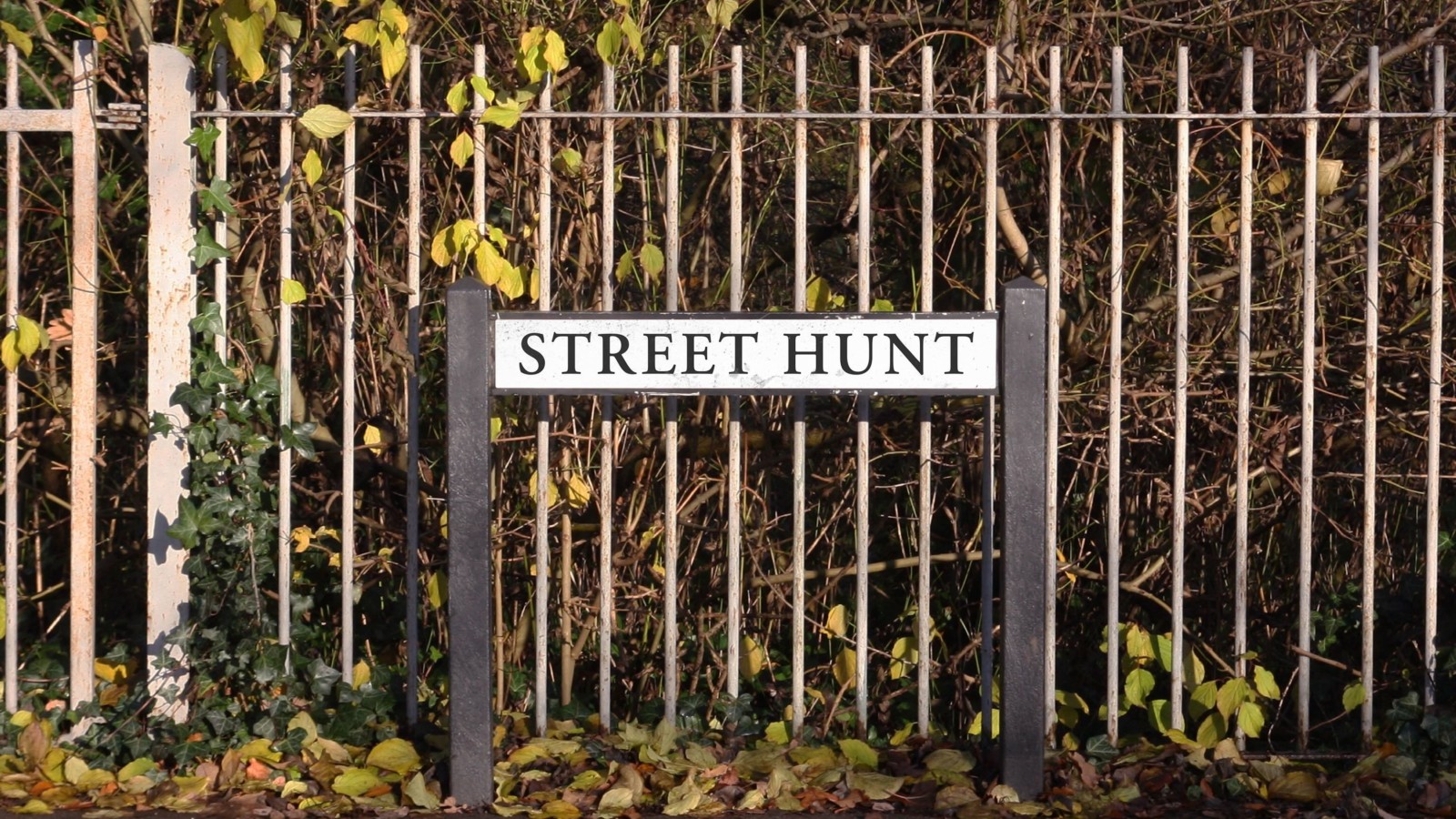 A street sign that reads 'Street Hunt' is in front of railings which have bushes behind them.