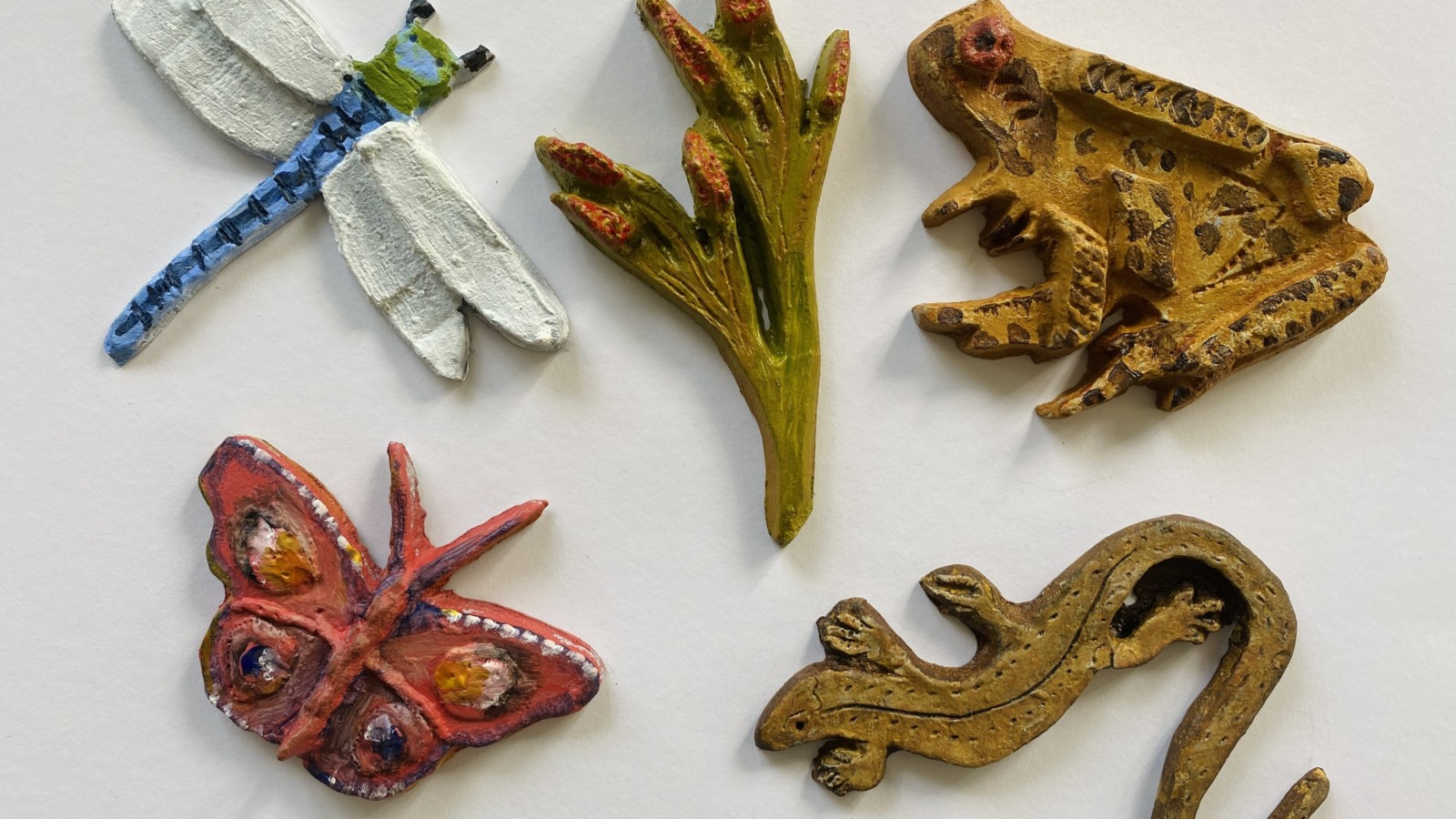 Dragonfly, butterfly, frog, newt and plant made out of clay and brightly painted