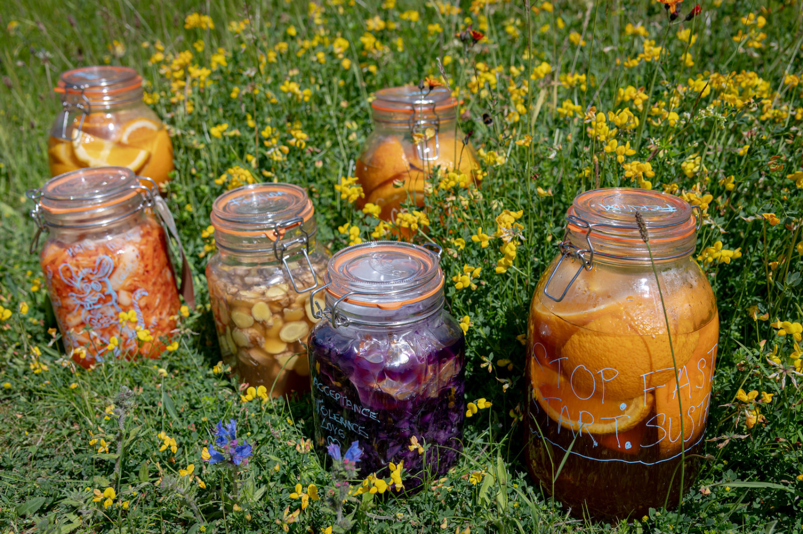 Jars filled with pickles and fermented vegetables, surrounded by flowers