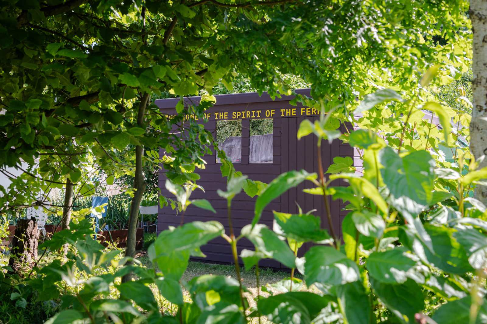 A purple shed is visible through lots of green leaves